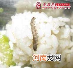 解梦香菇 做梦吃香菇是什么意思