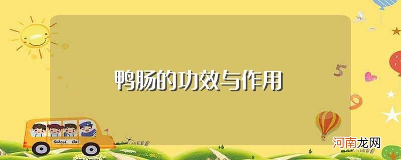 鸭肠的功效与作用介绍 鸭肠的功效与作用