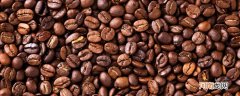 咖啡豆产地