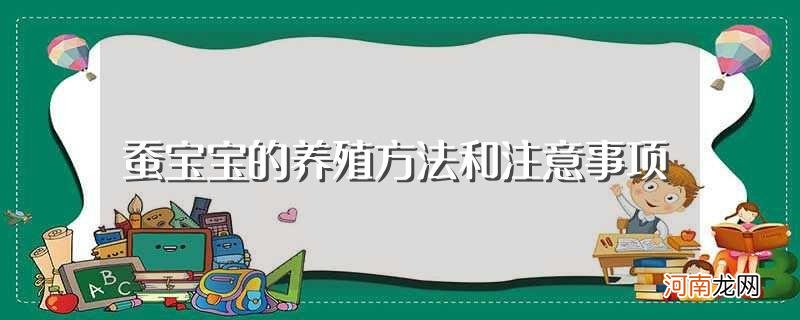 如何养殖蚕宝宝呢 蚕宝宝的养殖方法和注意事项