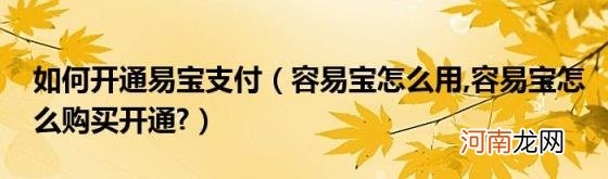 如何开通易宝支付（容易宝怎么用 容易宝怎么购买开通?）