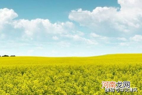 7月份运势 属羊女2022年7月份运势