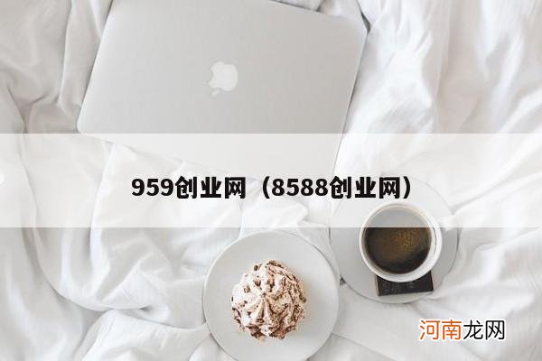 8588创业网 959创业网