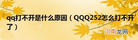 QQQ252怎么打不开了 qq打不开是什么原因