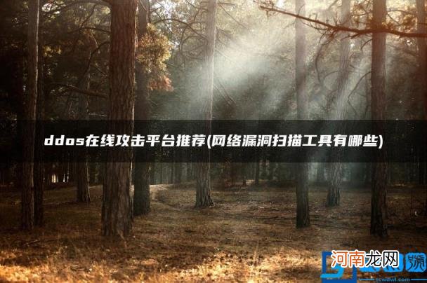 网络漏洞扫描工具有哪些 ddos在线攻击平台推荐