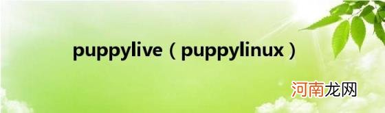 puppylinux puppylive