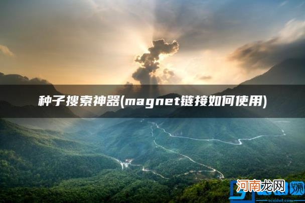 magnet链接如何使用 种子搜索神器