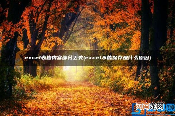 excel不能保存是什么原因 excel表格内容部分丢失