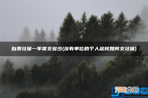 没有单位的个人居民如何交社保 自费社保一年需交多少