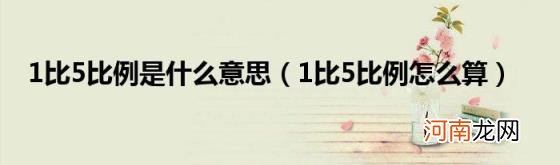 1比5比例怎么算 1比5比例是什么意思