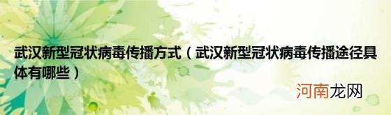 武汉新型冠状病毒传播途径具体有哪些 武汉新型冠状病毒传播方式