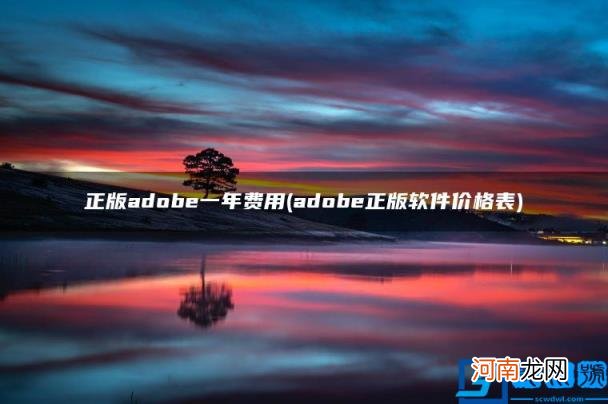 adobe正版软件价格表 正版adobe一年费用