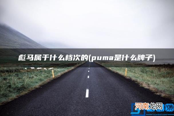 puma是什么牌子 彪马属于什么档次的