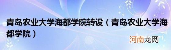 青岛农业大学海都学院 青岛农业大学海都学院转设