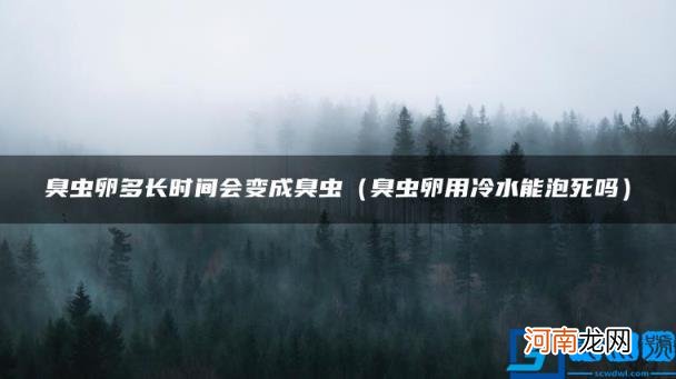 臭虫卵用冷水能泡死吗 臭虫卵多长时间会变成臭虫