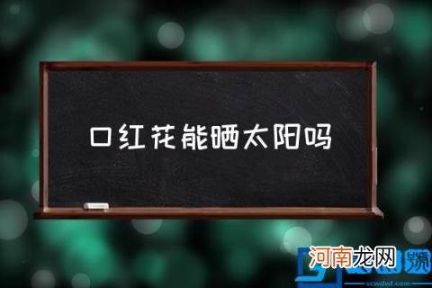 口红花能晒太阳吗,口红花怎样养才能开花？