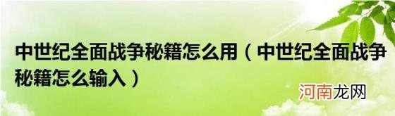 中世纪全面战争秘籍怎么输入 中世纪全面战争秘籍怎么用