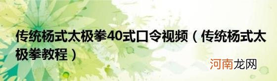 传统杨式太极拳教程 传统杨式太极拳40式口令视频