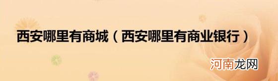 西安哪里有商业银行 西安哪里有商城