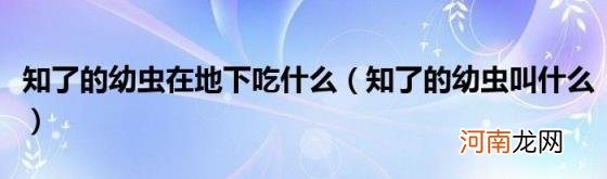 知了的幼虫叫什么 知了的幼虫在地下吃什么