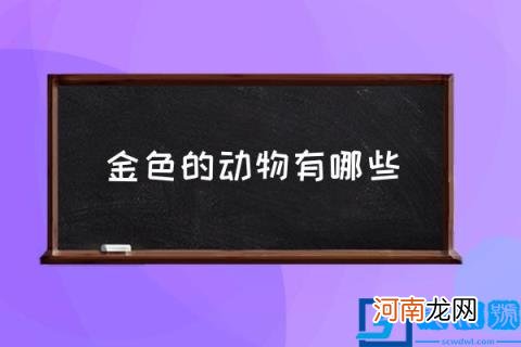 金色的动物有哪些,什么动物是金黄色？