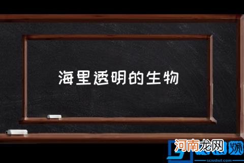 海里透明的生物,海里透明的如树根的是什么？