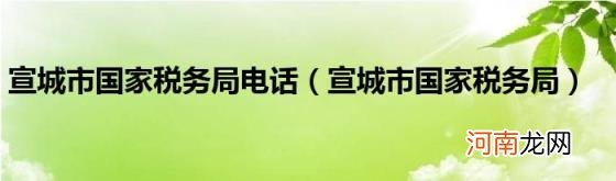 宣城市国家税务局 宣城市国家税务局电话