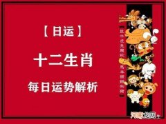 今日生肖运势查询 今日生肖运势查询每日运程