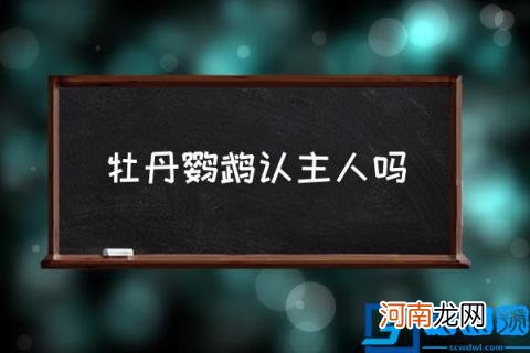 牡丹鹦鹉认主人吗,二十多天的牡丹鹦鹉会亲近人吗？