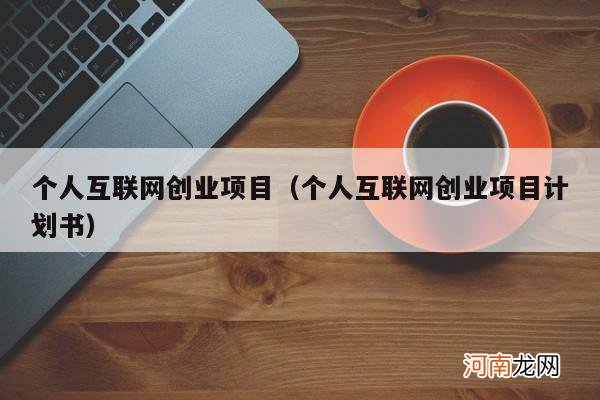 个人互联网创业项目计划书 个人互联网创业项目