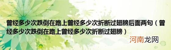 曾经多少次跌倒在路上曾经多少次折断过翅膀 曾经多少次跌倒在路上曾经多少次折断过翅膀后面两句