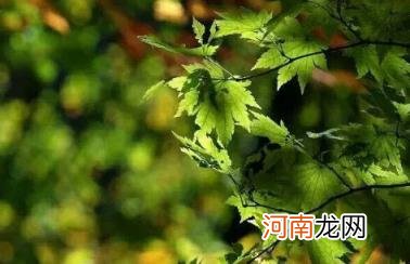 处暑那天会下雨吗 2022处暑这天下雨好还是不下雨好