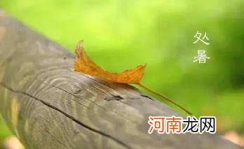 处暑那天会下雨吗 2022处暑这天下雨好还是不下雨好