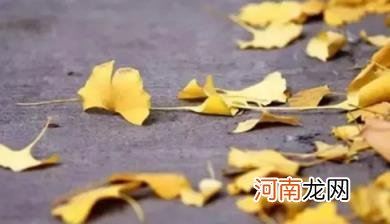 处暑过后天气会不会凉快 2022处暑过后今年天气还热吗