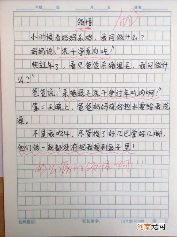 小学生写作文“班主任头发像蒲公英，风一吹就秃了”老师：胆挺肥