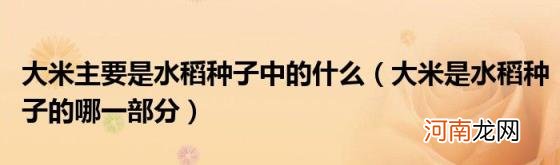 大米是水稻种子的哪一部分 大米主要是水稻种子中的什么