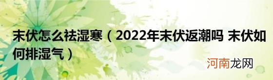 2022年末伏返潮吗末伏如何排湿气 末伏怎么祛湿寒