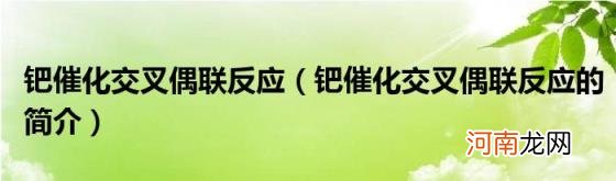 钯催化交叉偶联反应的简介 钯催化交叉偶联反应