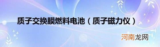 质子磁力仪 质子交换膜燃料电池