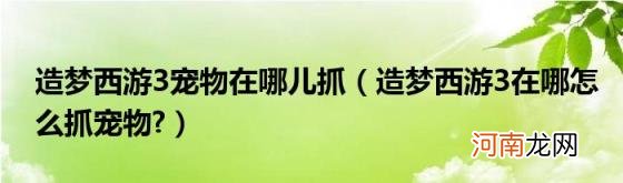 造梦西游3在哪怎么抓宠物? 造梦西游3宠物在哪儿抓