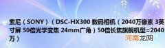 SONY 2040万像素3英寸屏50倍光学变焦24mm广角)50倍长焦旗舰机型=2040万 索尼(DSC-HX300数码相机