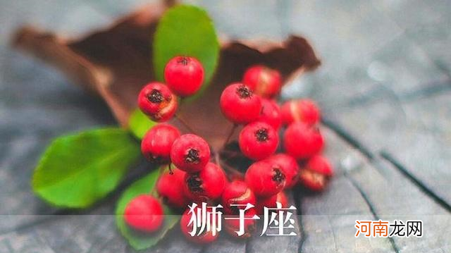 狮子座的花 狮子座的花心