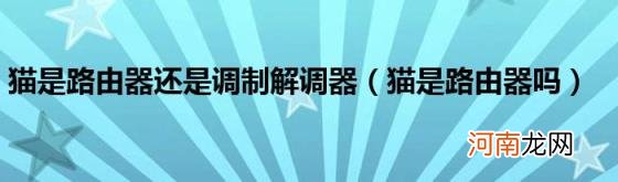 猫是路由器吗 猫是路由器还是调制解调器