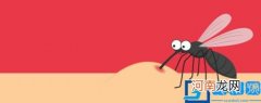 室外灭蚊子的方法介绍 室外灭蚊子最有效的方法