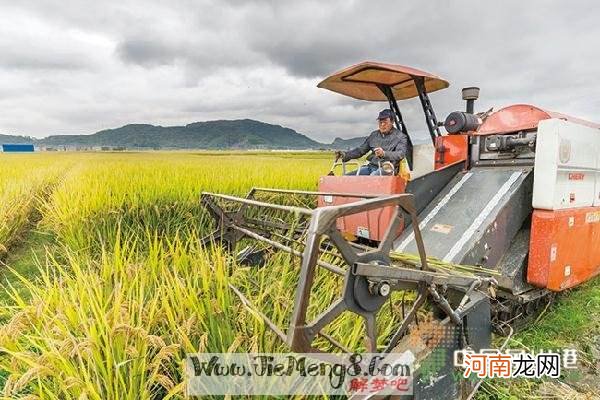 周公解梦下雨 周公解梦下雨路难走