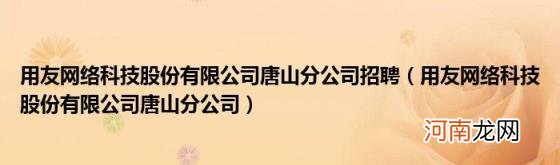 用友网络科技股份有限公司唐山分公司 用友网络科技股份有限公司唐山分公司招聘