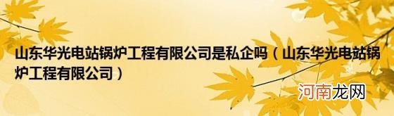 山东华光电站锅炉工程有限公司 山东华光电站锅炉工程有限公司是私企吗