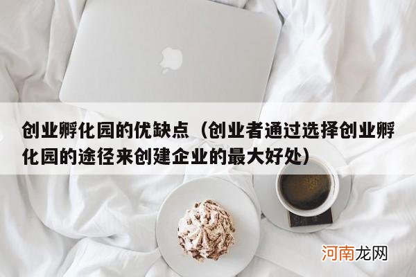 创业者通过选择创业孵化园的途径来创建企业的最大好处 创业孵化园的优缺点