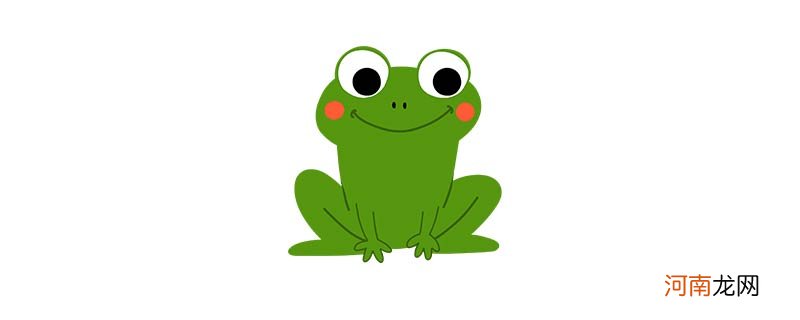 青蛙是什么