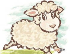 2019年属羊人的运势 2019年属羊的人的全年运势